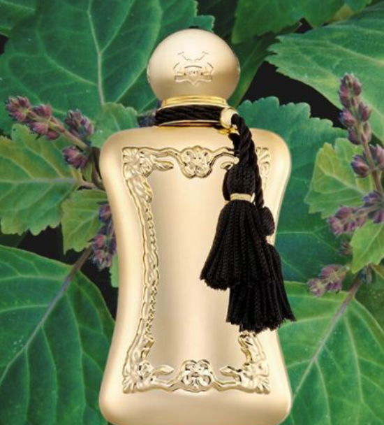 Parfums de Marly Darcy – Eau de Parfum